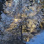 Himmelbauer * Sobriach