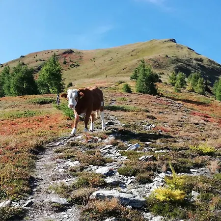 公寓 Himmelbauer Sobriach