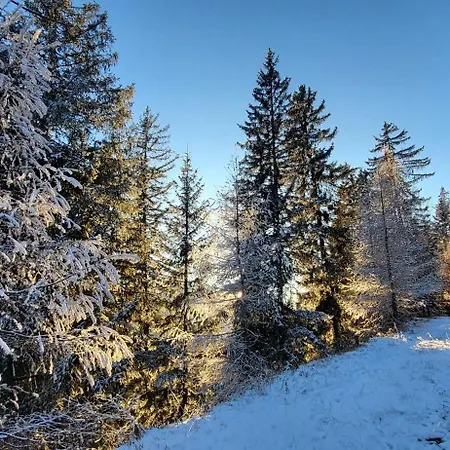 Lejlighed Himmelbauer Sobriach
