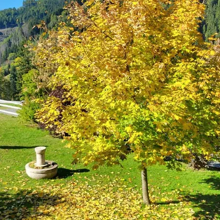 Himmelbauer アパート