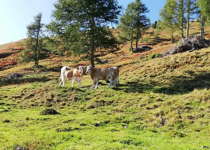 Himmelbauer Lejlighed