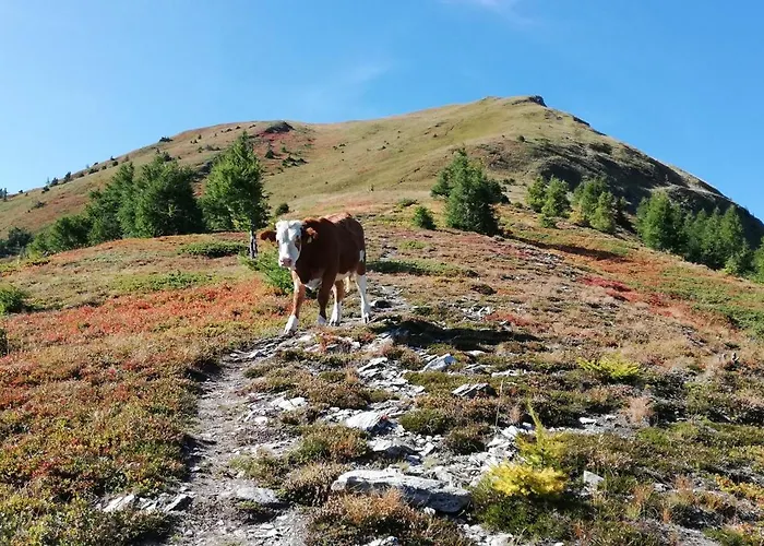 Lejlighed Himmelbauer Sobriach
