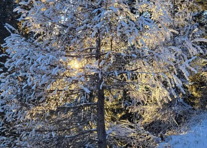 Himmelbauer * Sobriach