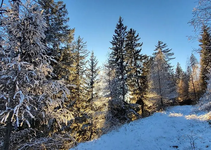 Apartment Himmelbauer Sobriach