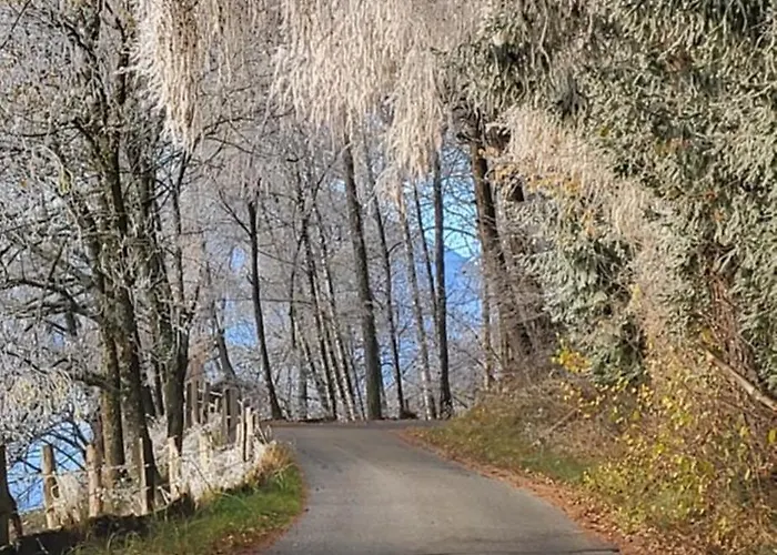 Apartment Himmelbauer