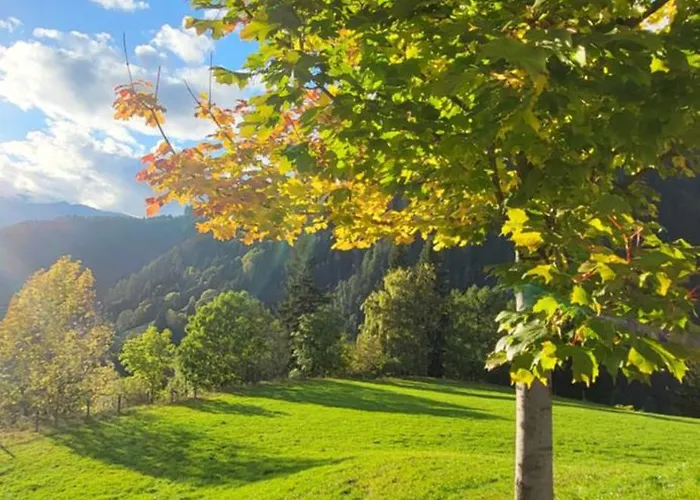 Apartment Himmelbauer