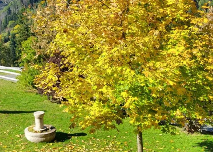 Himmelbauer Lejlighed